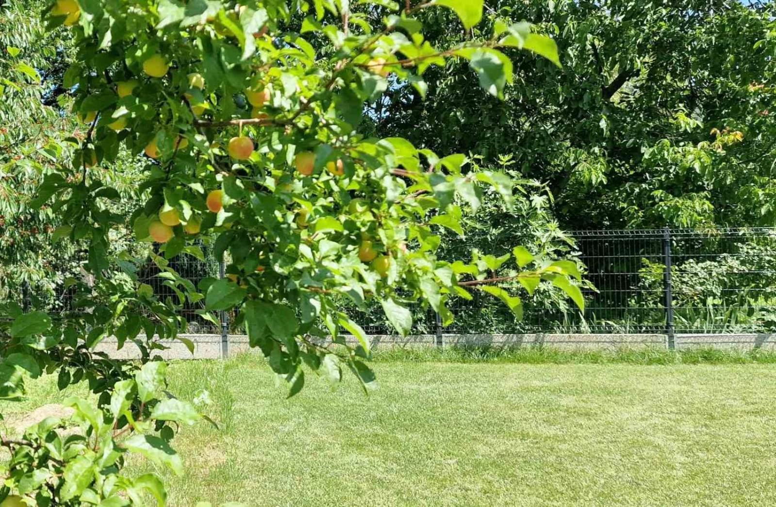 Hyde Park Apartments Čakovec Zewnętrze zdjęcie